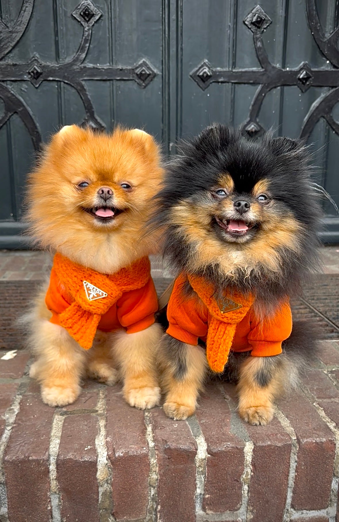 Kingsday - Oranje sjaal met logo