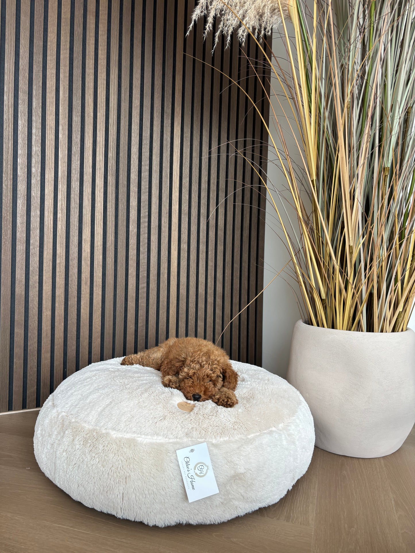 Chloe’s Home Fluffy bed ecru