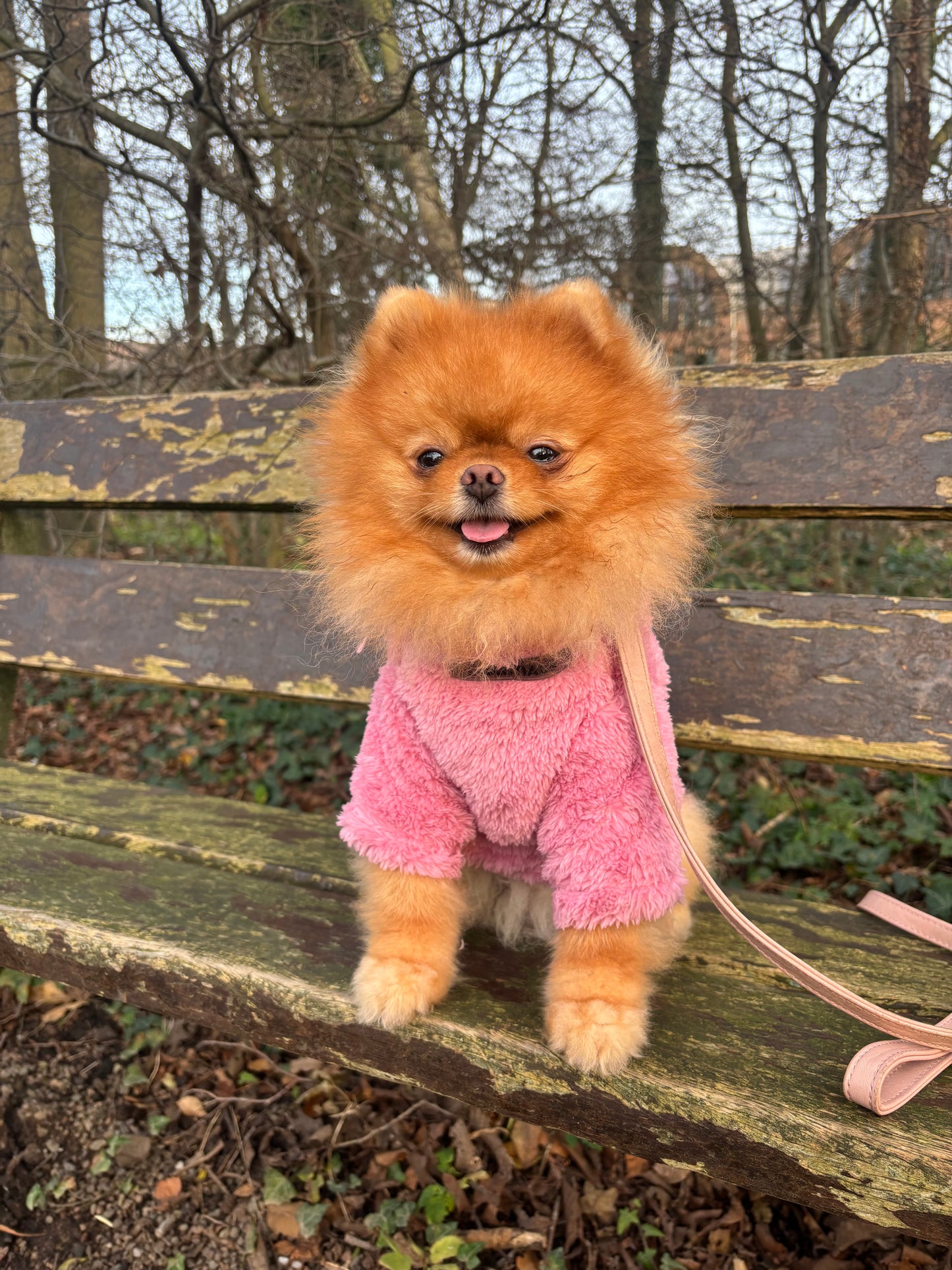 Essentials - Teddy sweater roze