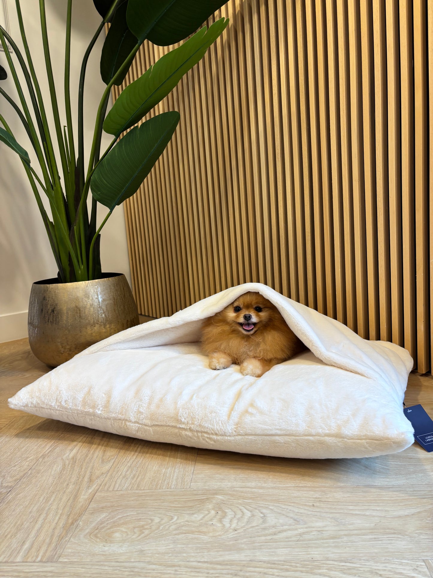 Lords & Labradors - Sleepy Burrow imitatiebont