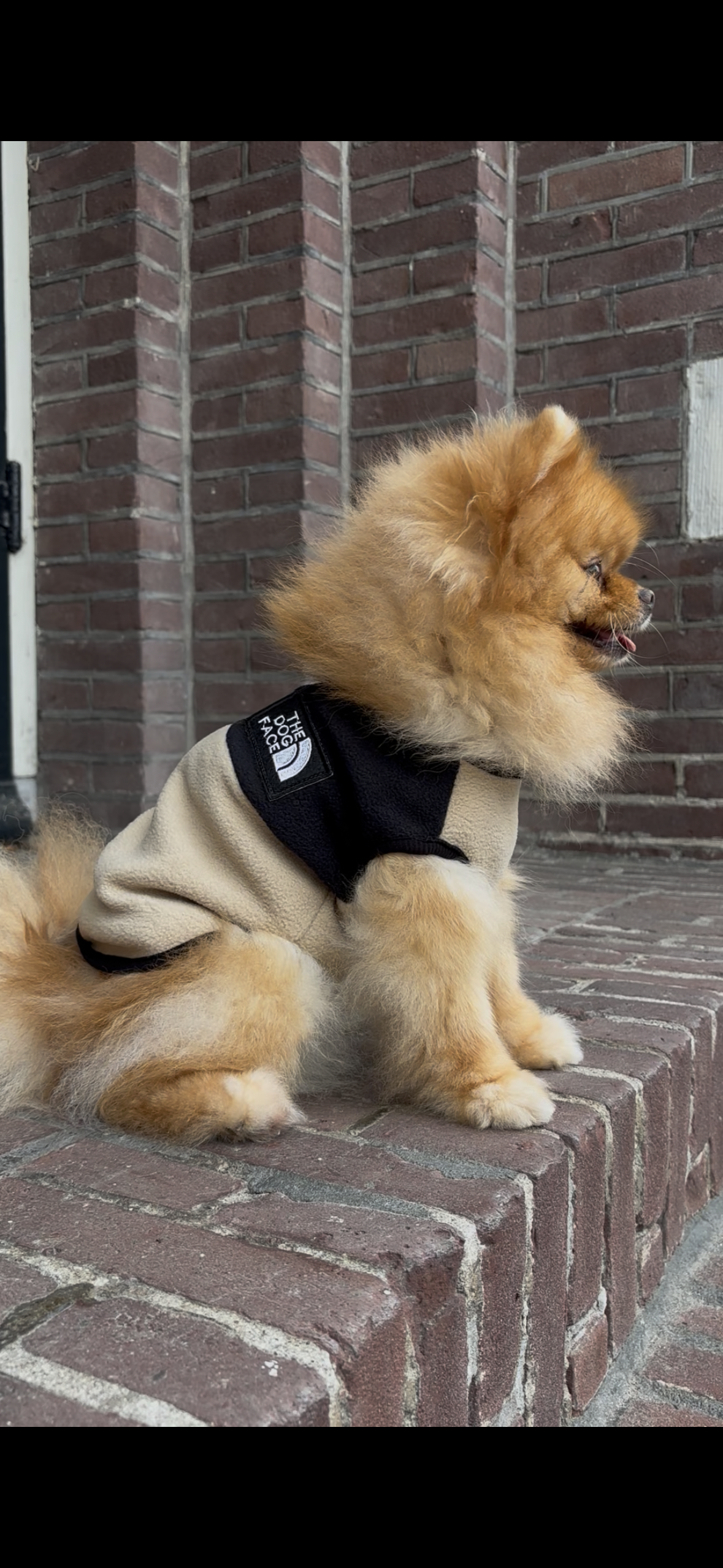 The Dog Face - Fleece vest beige