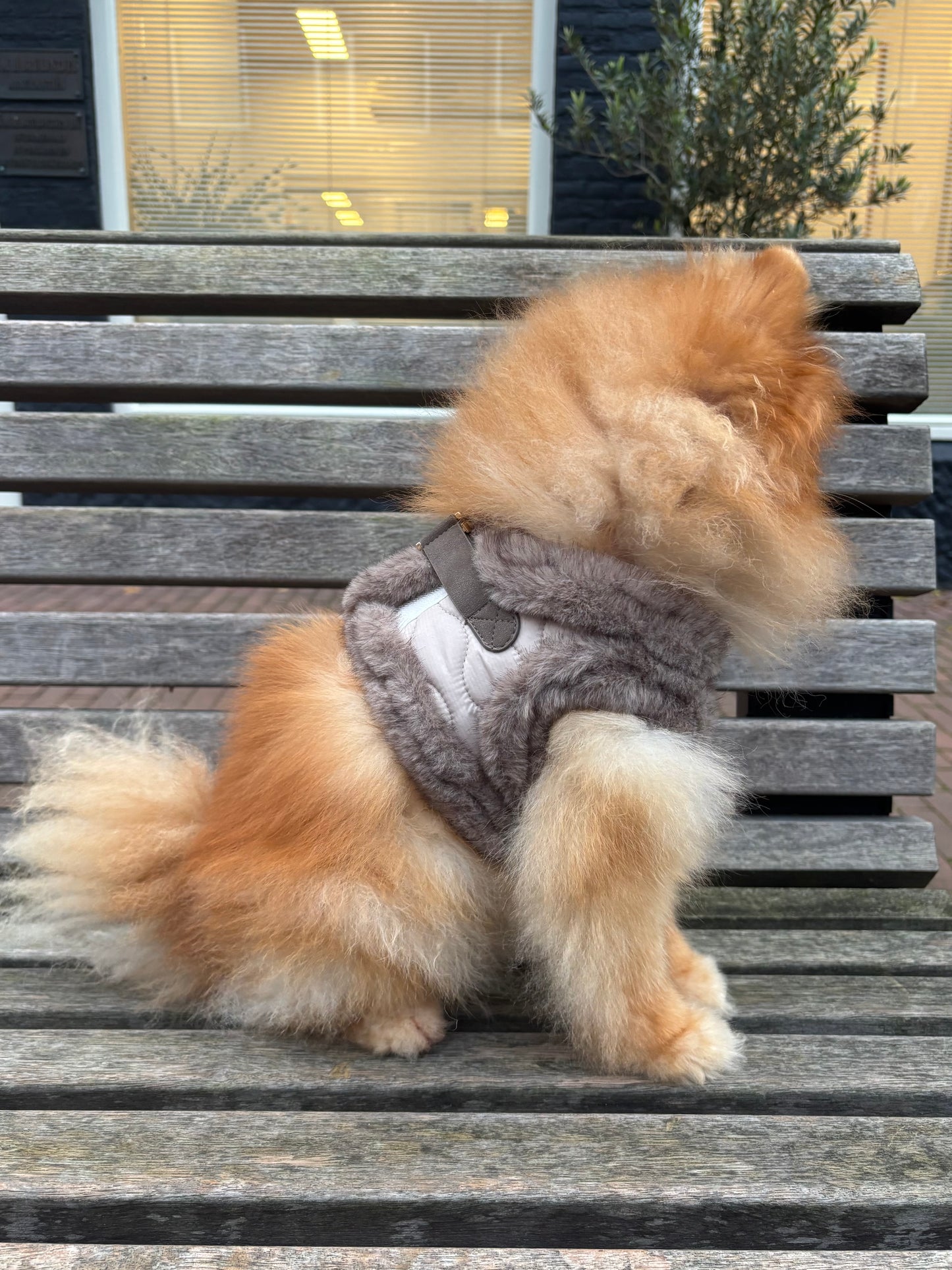 Milk & Pepper - Tuig Enola