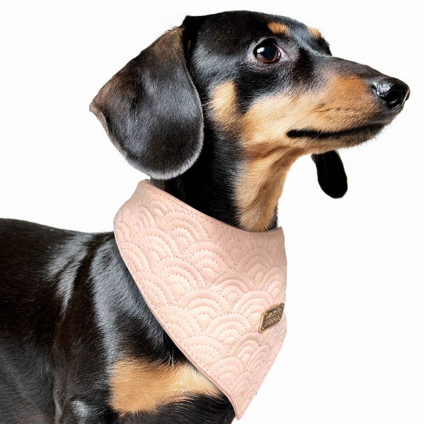 Milk & Pepper - Bandana Kimi Roze