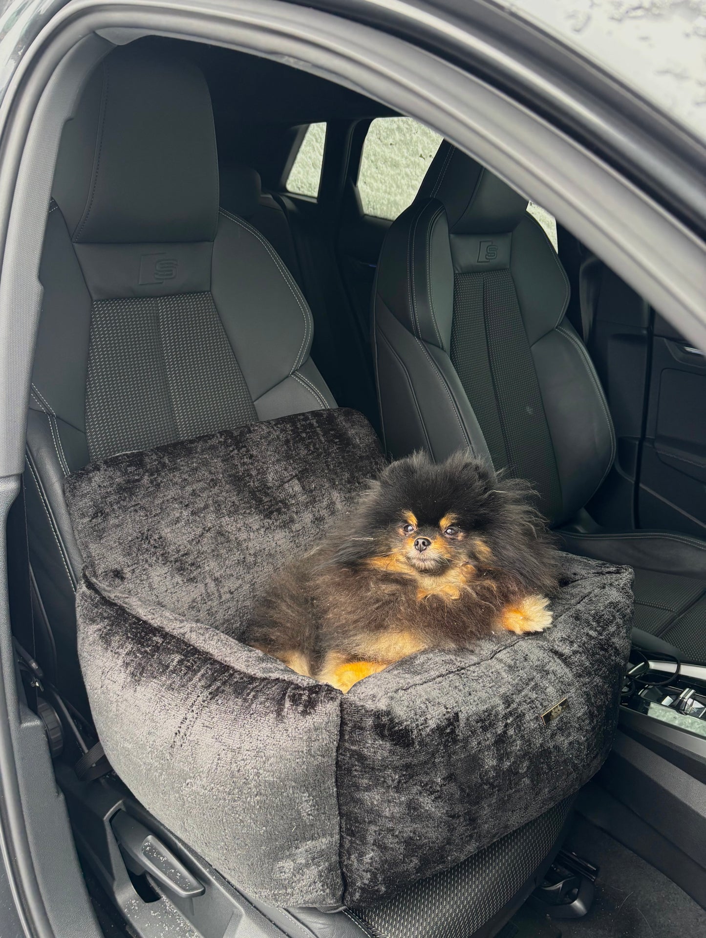 Autostoel Nowi - Zwart