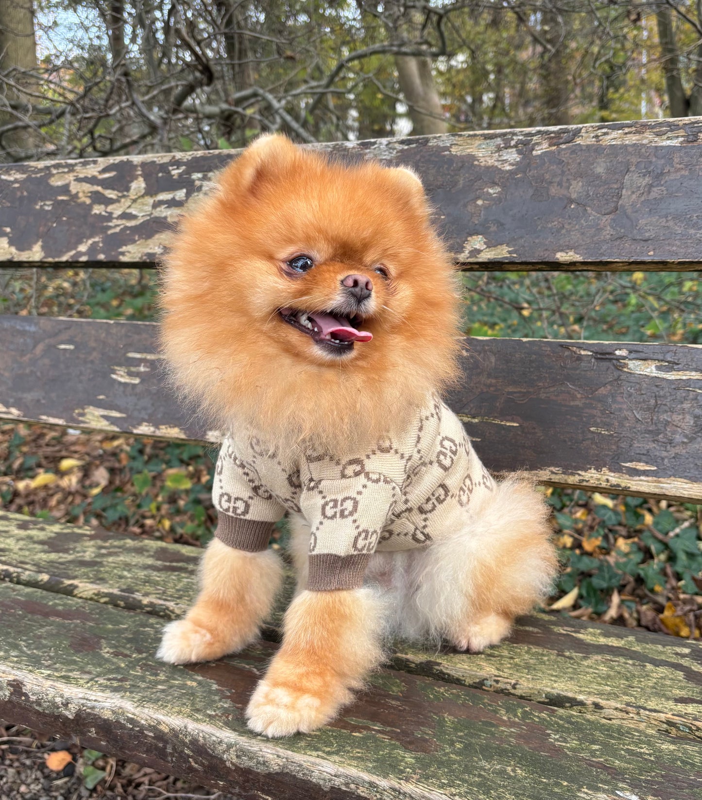 Sweater beige met print