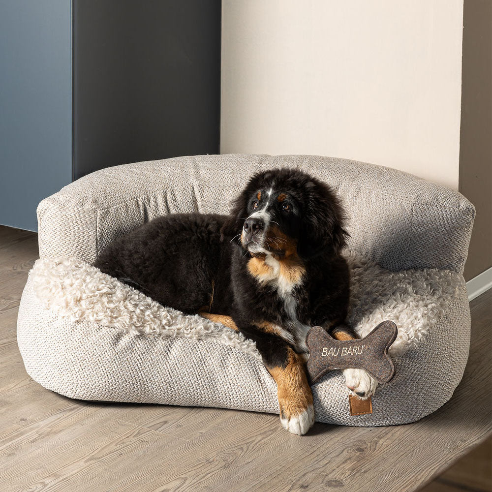 Bau Baru - Sofa Baldo