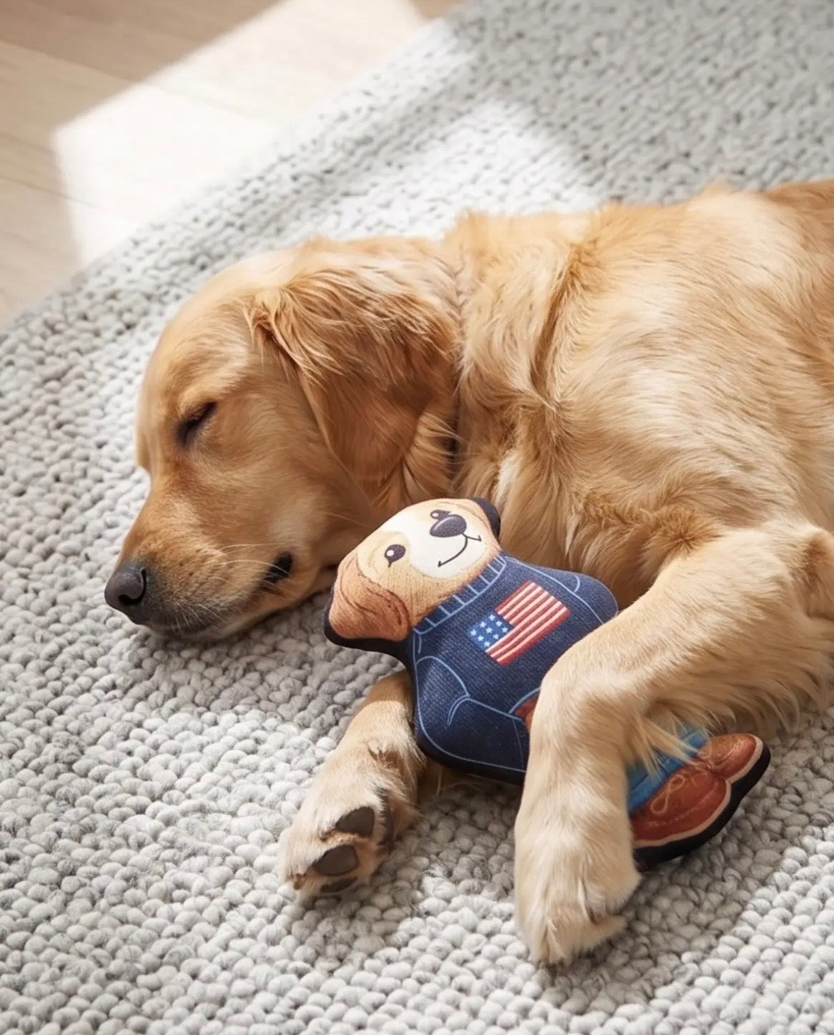Ruff Lauren Teddy-Hond