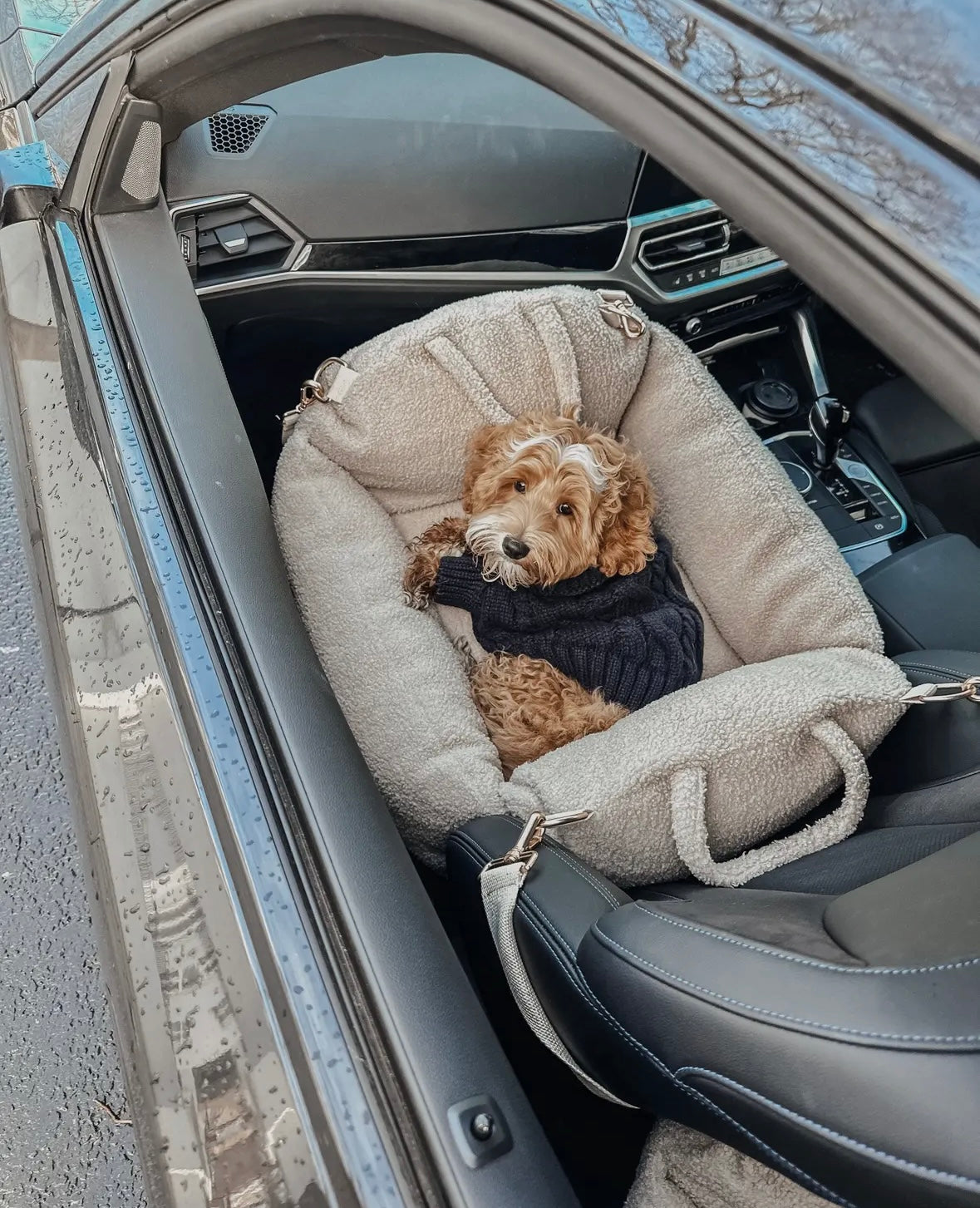 Teddy autostoel beige