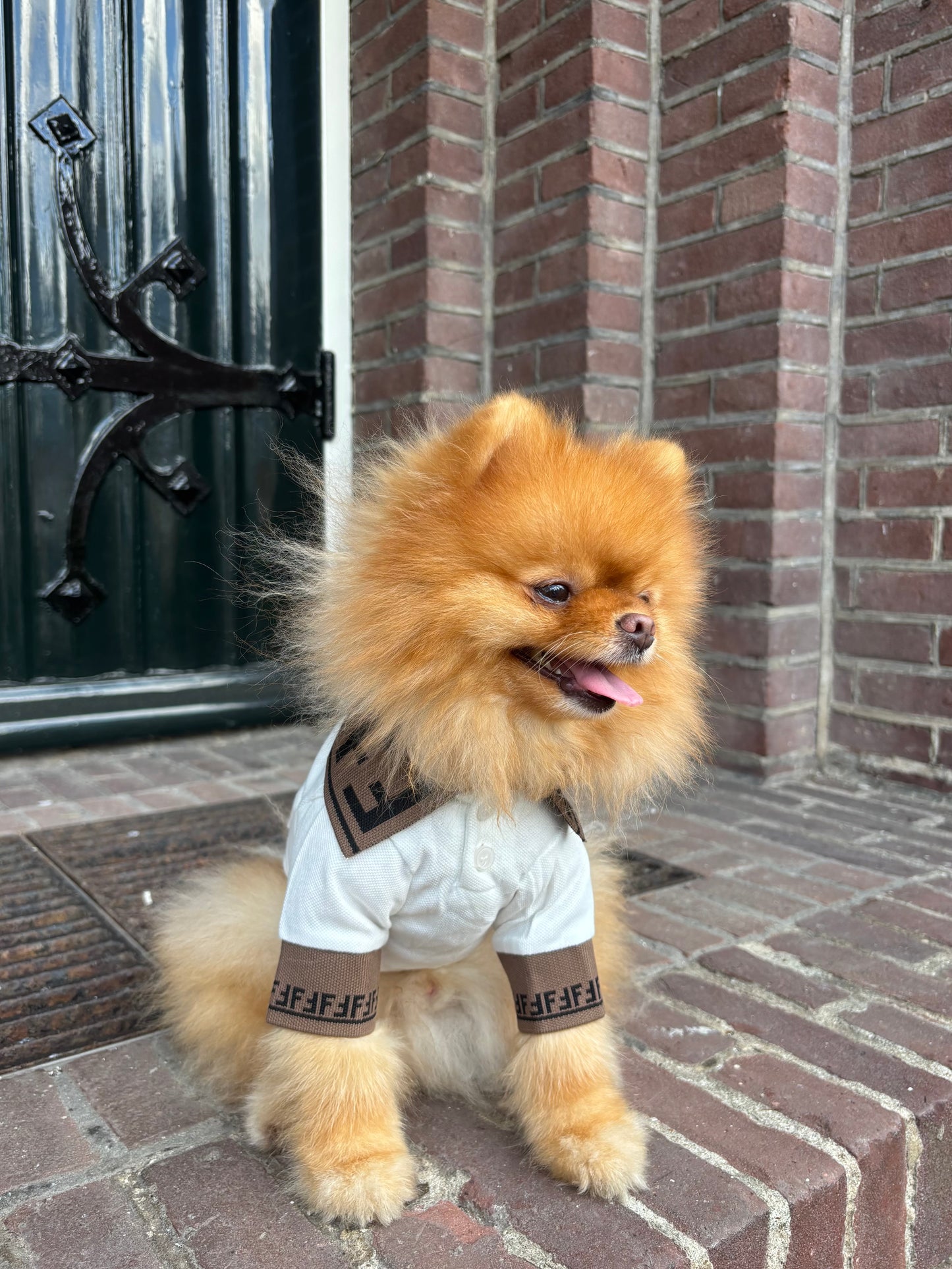 Polo shirt - FF Wit