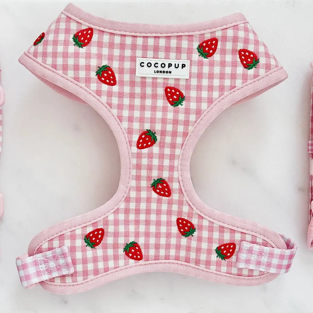 Cocopup London - Strawberry Picnic tuig