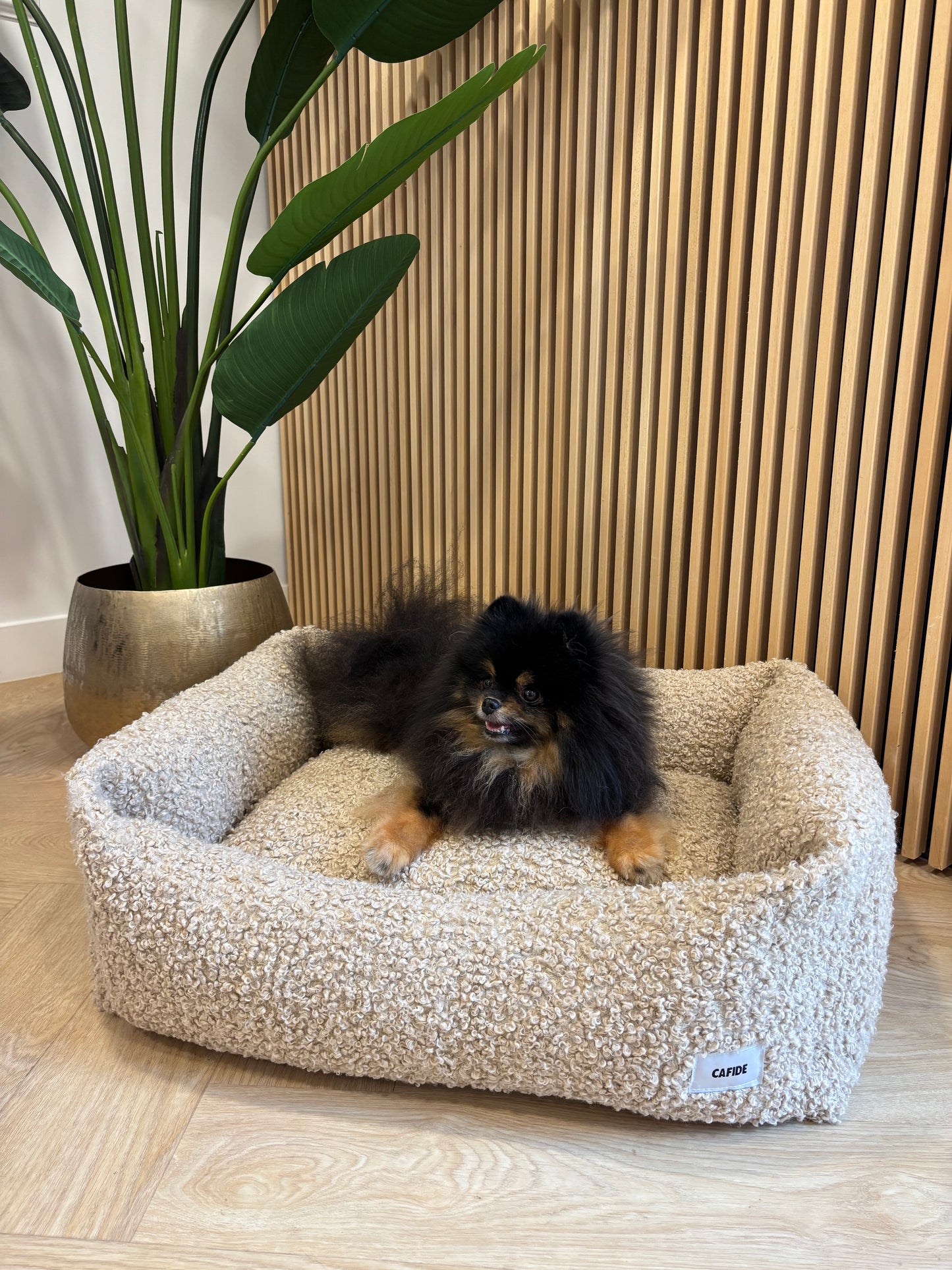 Cafide - Mand Teddy beige