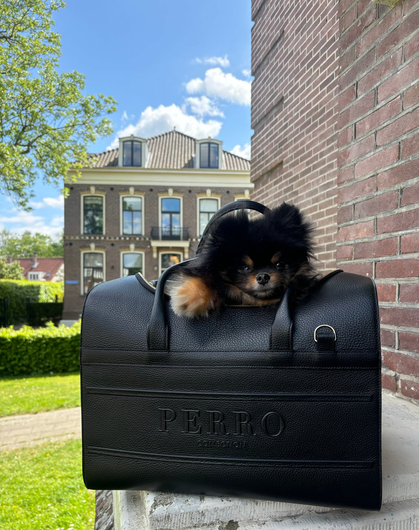 Perro Collection reistas zwart