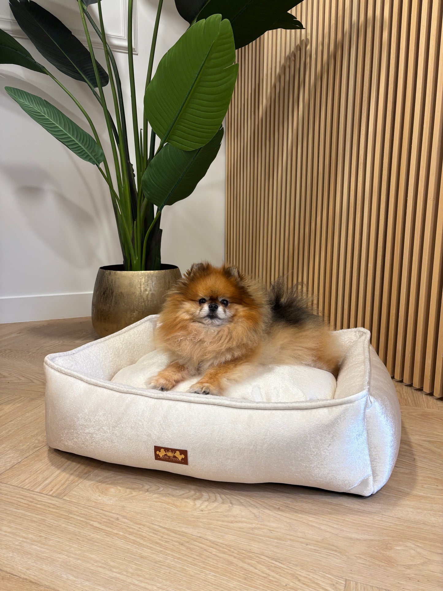 Arctic Mand Champagne Teddy