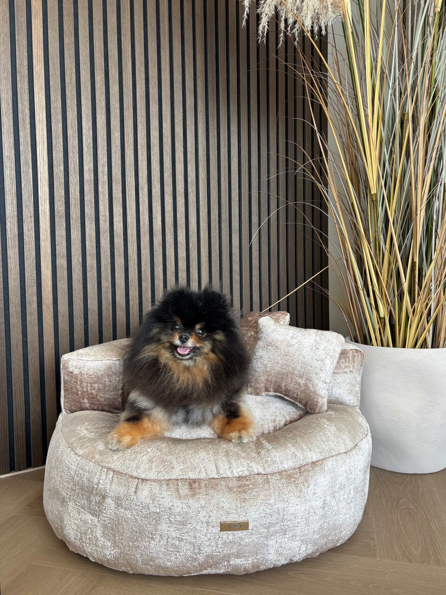 Lounge bed Blade - Miu Champagne