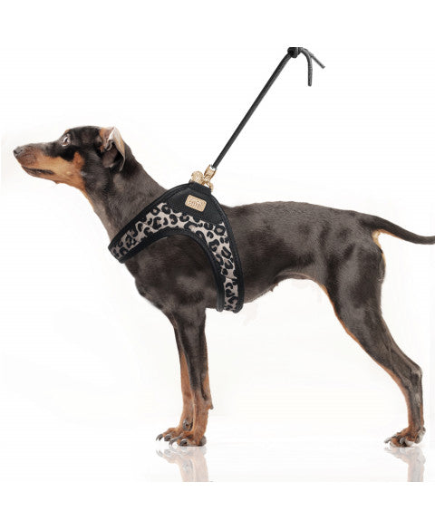 Milk & Pepper - Tuig Thalia Luipaard