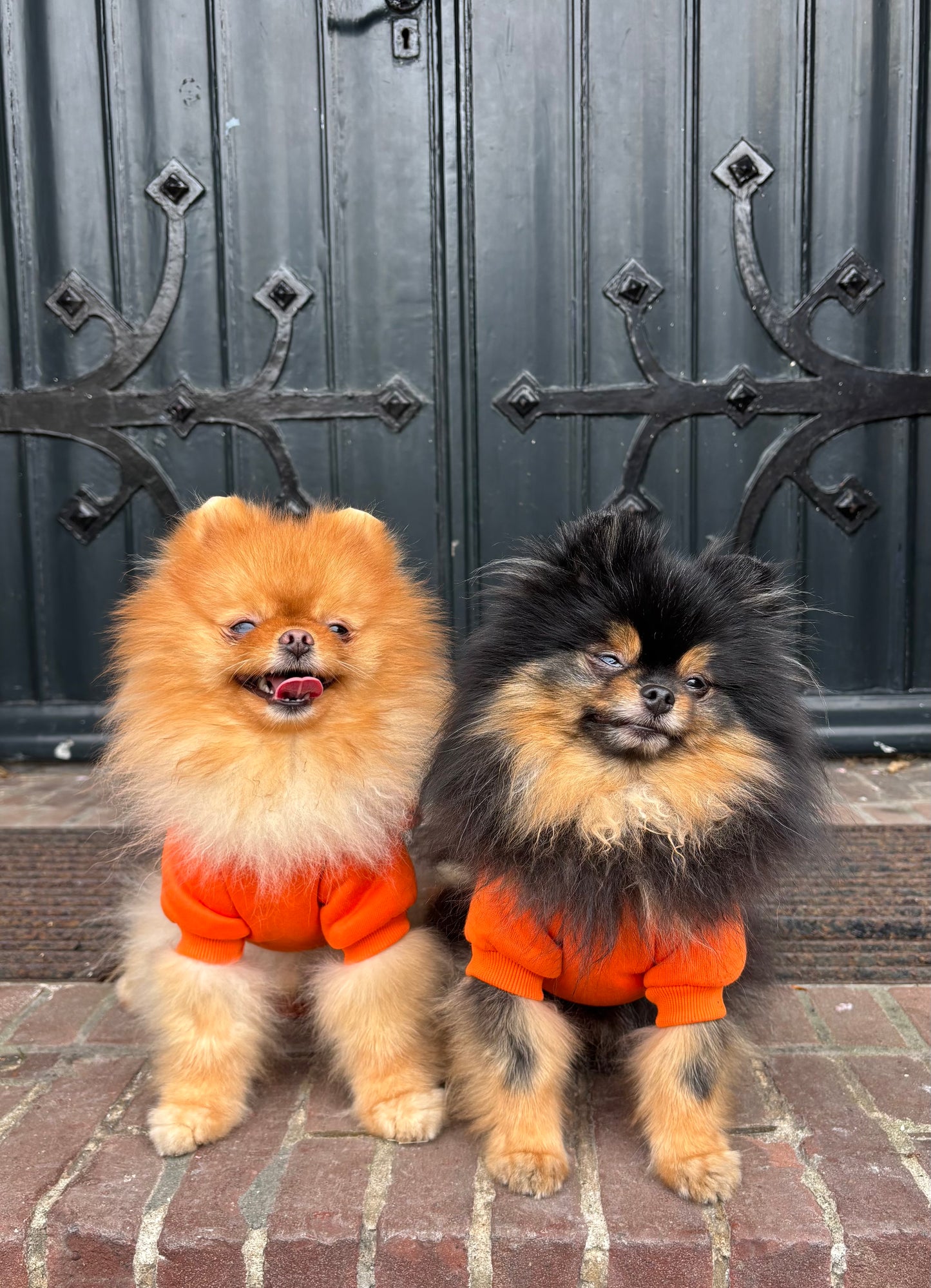 Kingsday - Oranje hoodie