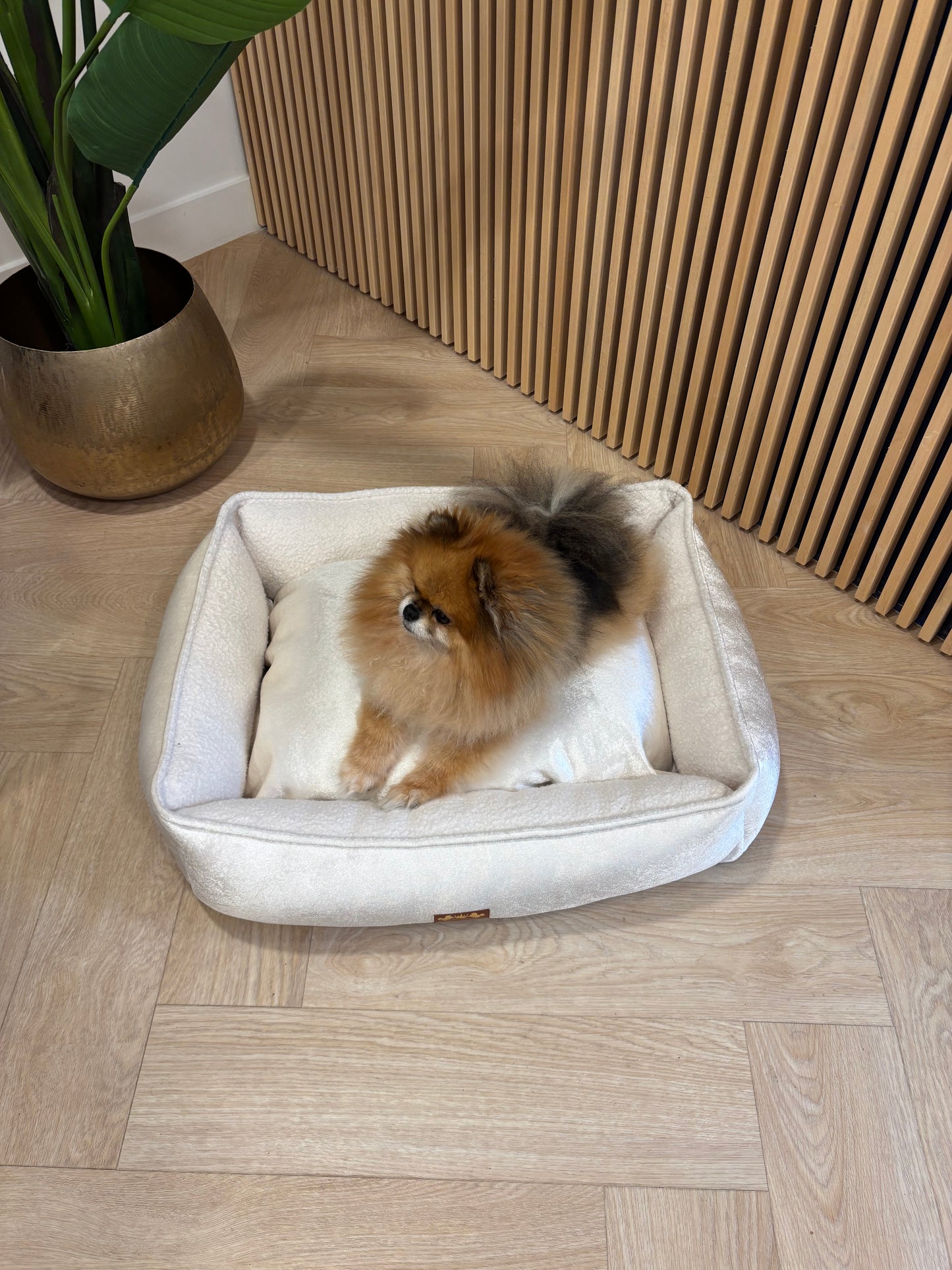 Arctic Mand Champagne Teddy