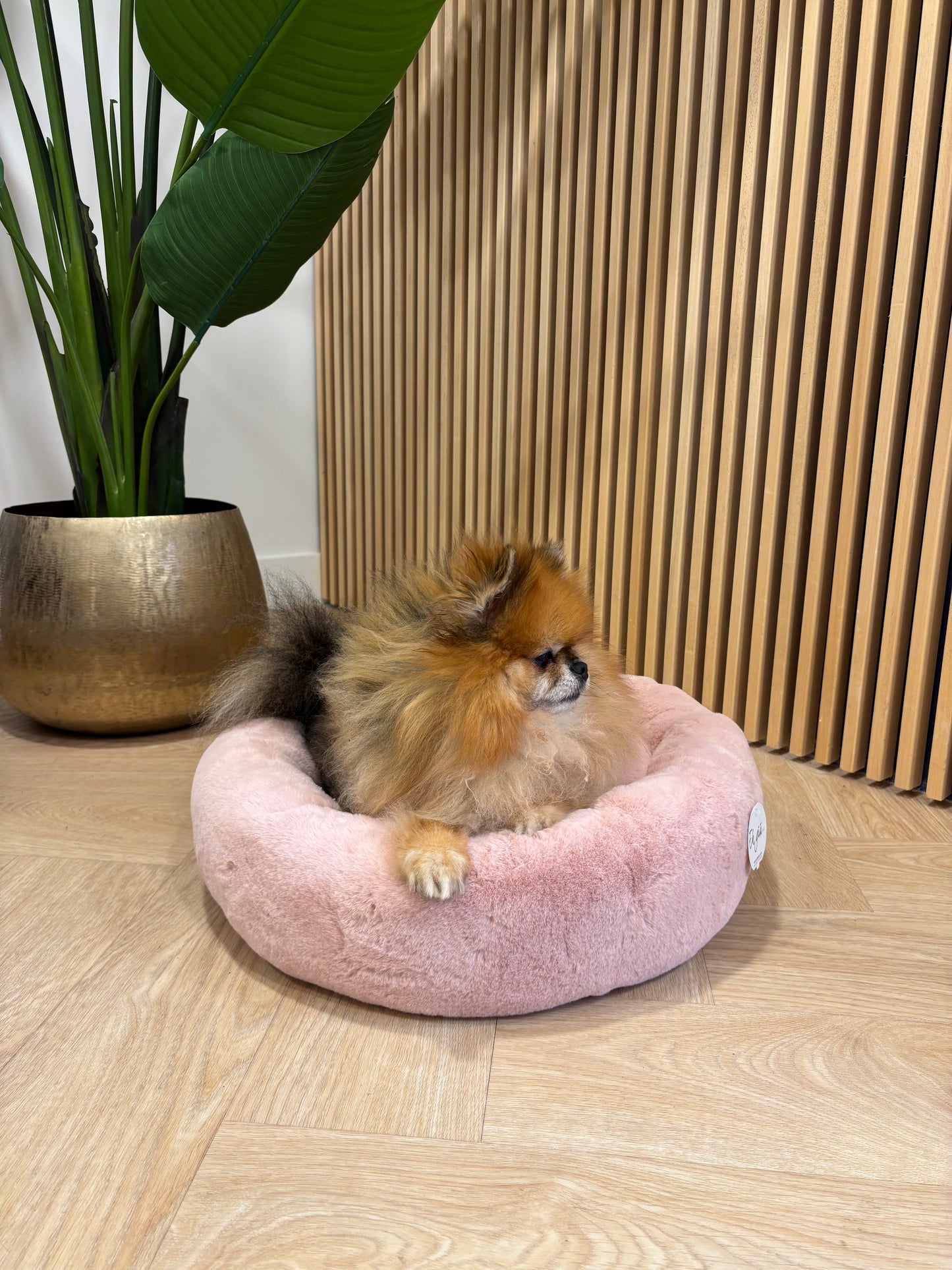 Eh Gia All Peluche Donut Roze