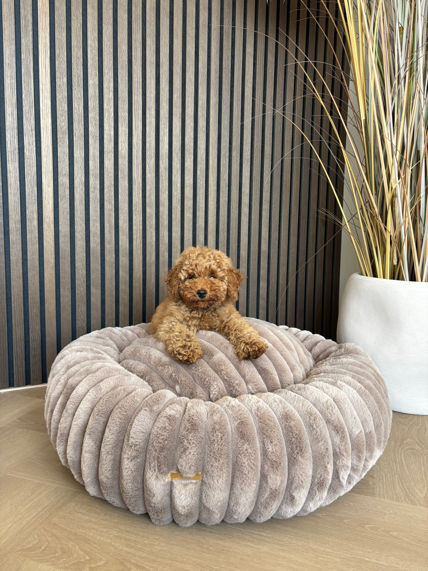 Donut mand Mishka - Bruin