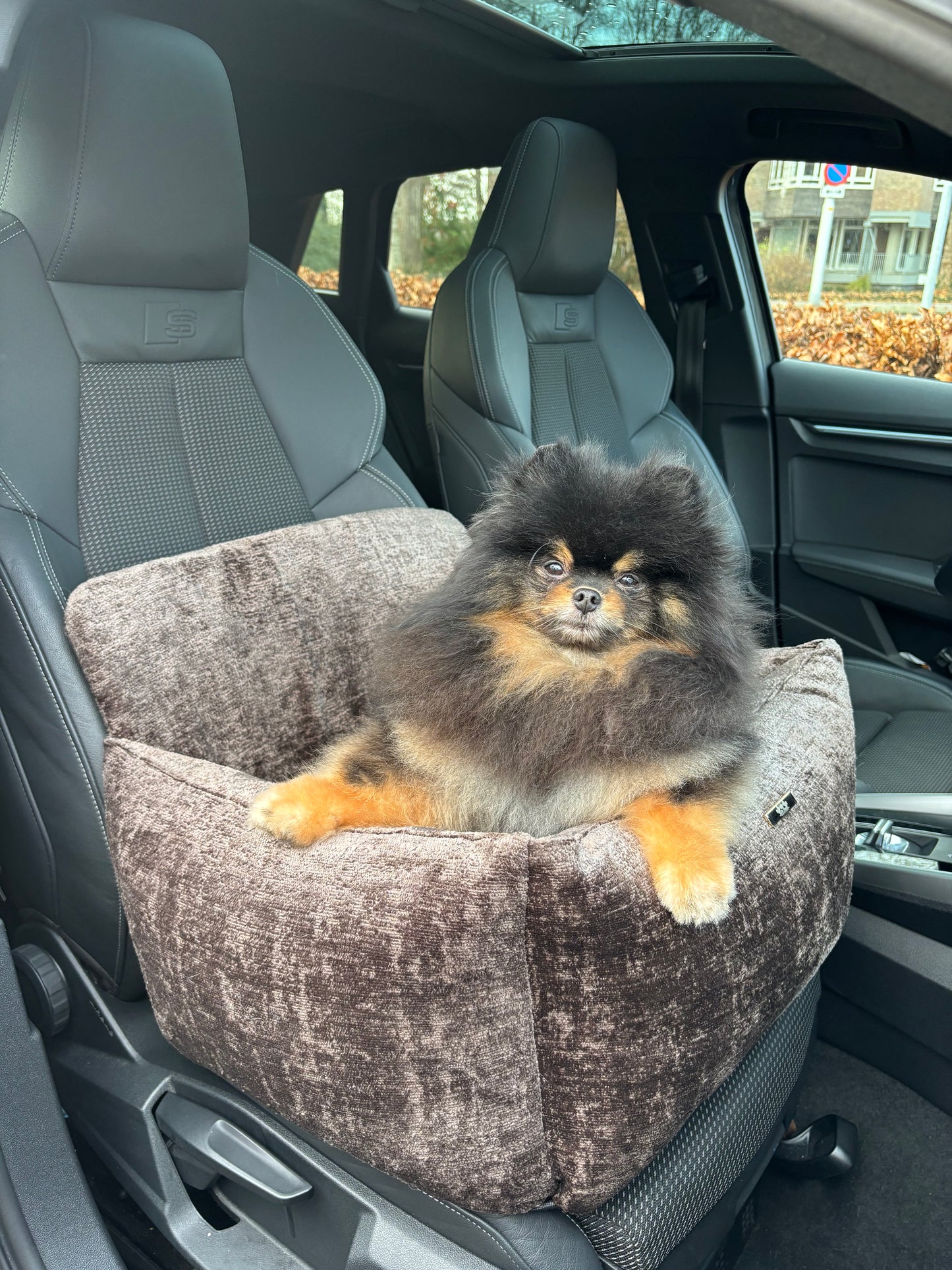 Autostoel Nowi - Donkerbruin