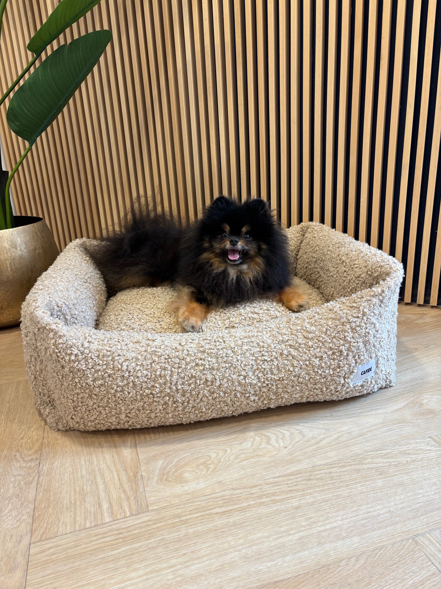 Cafide - Mand Teddy beige