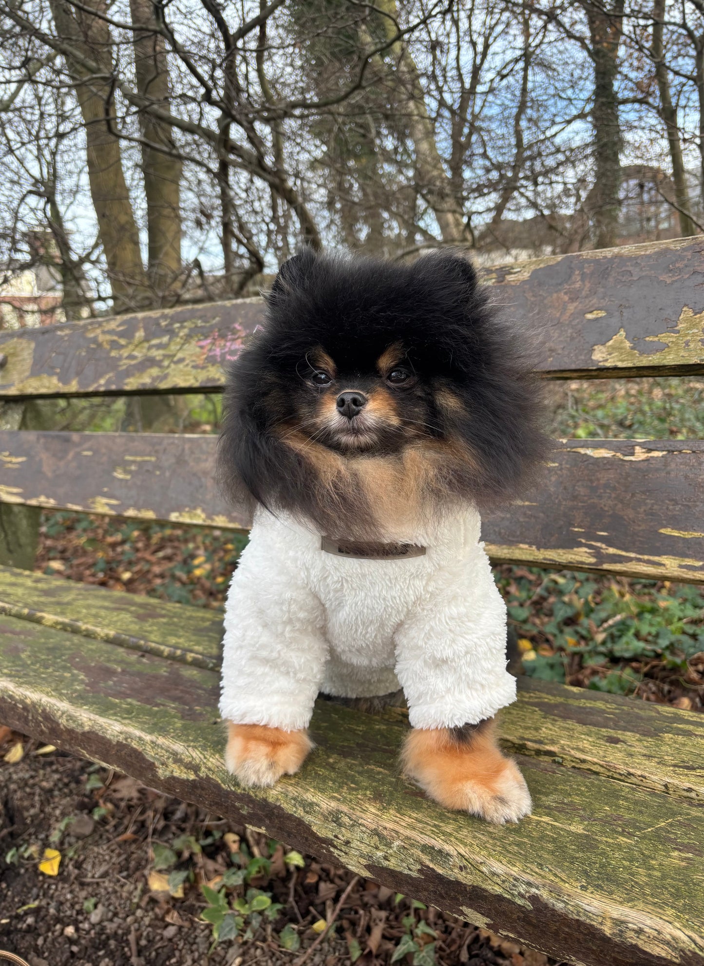 Essentials - Teddy sweater wit