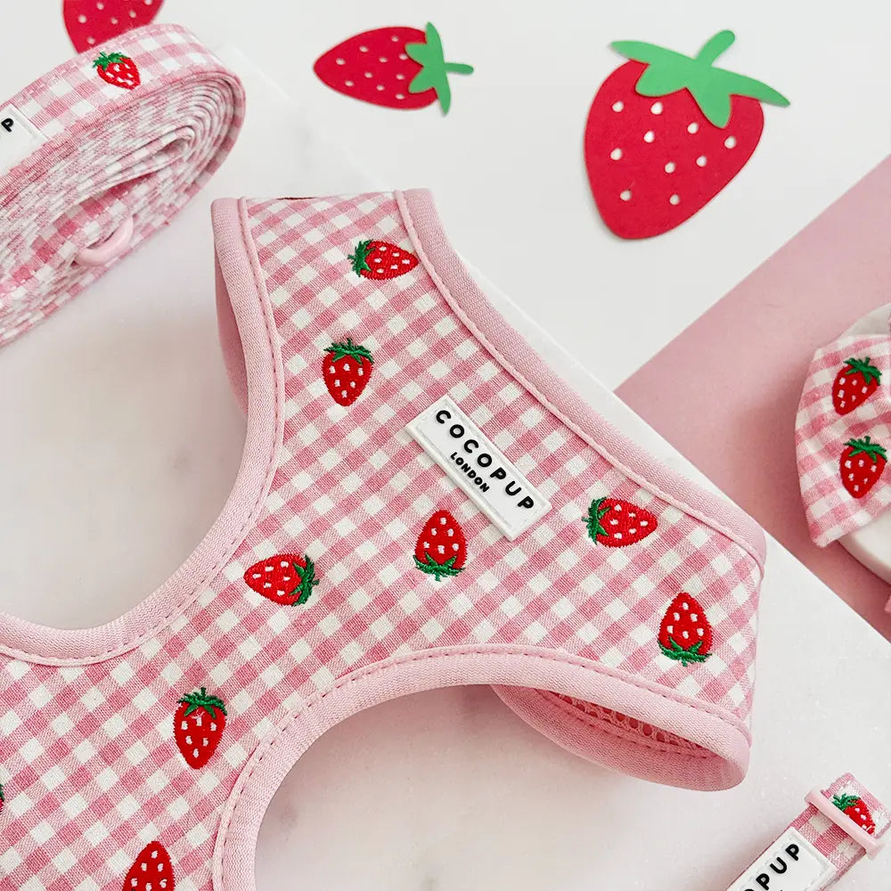 Cocopup London - Strawberry Picnic tuig