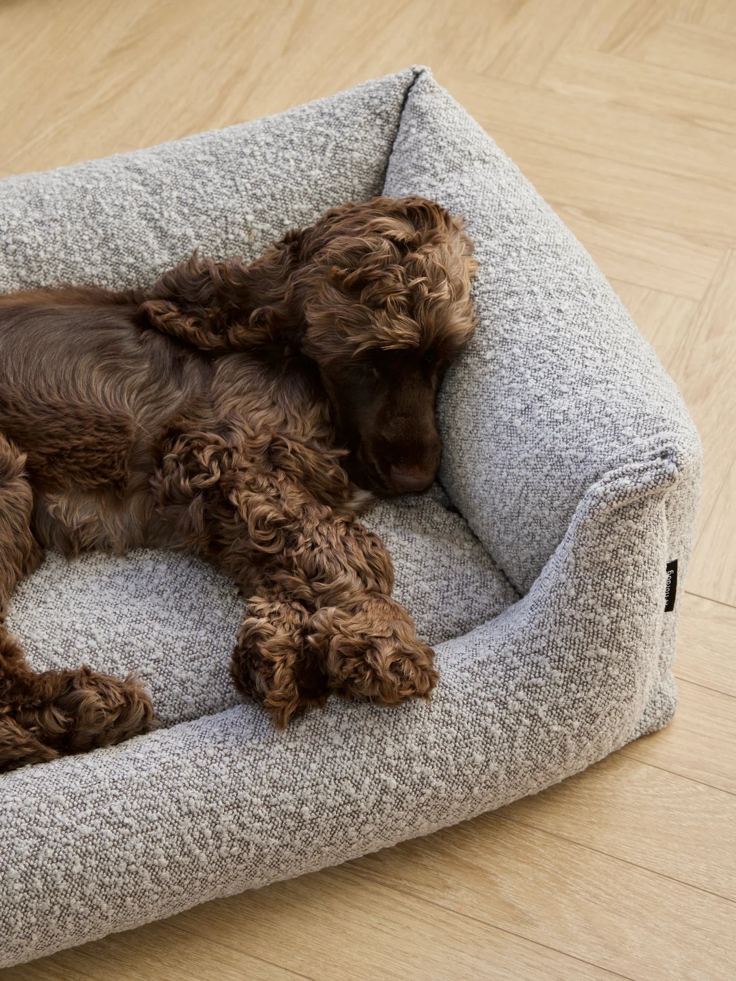 Nordog - Billy Bouclé Taupe