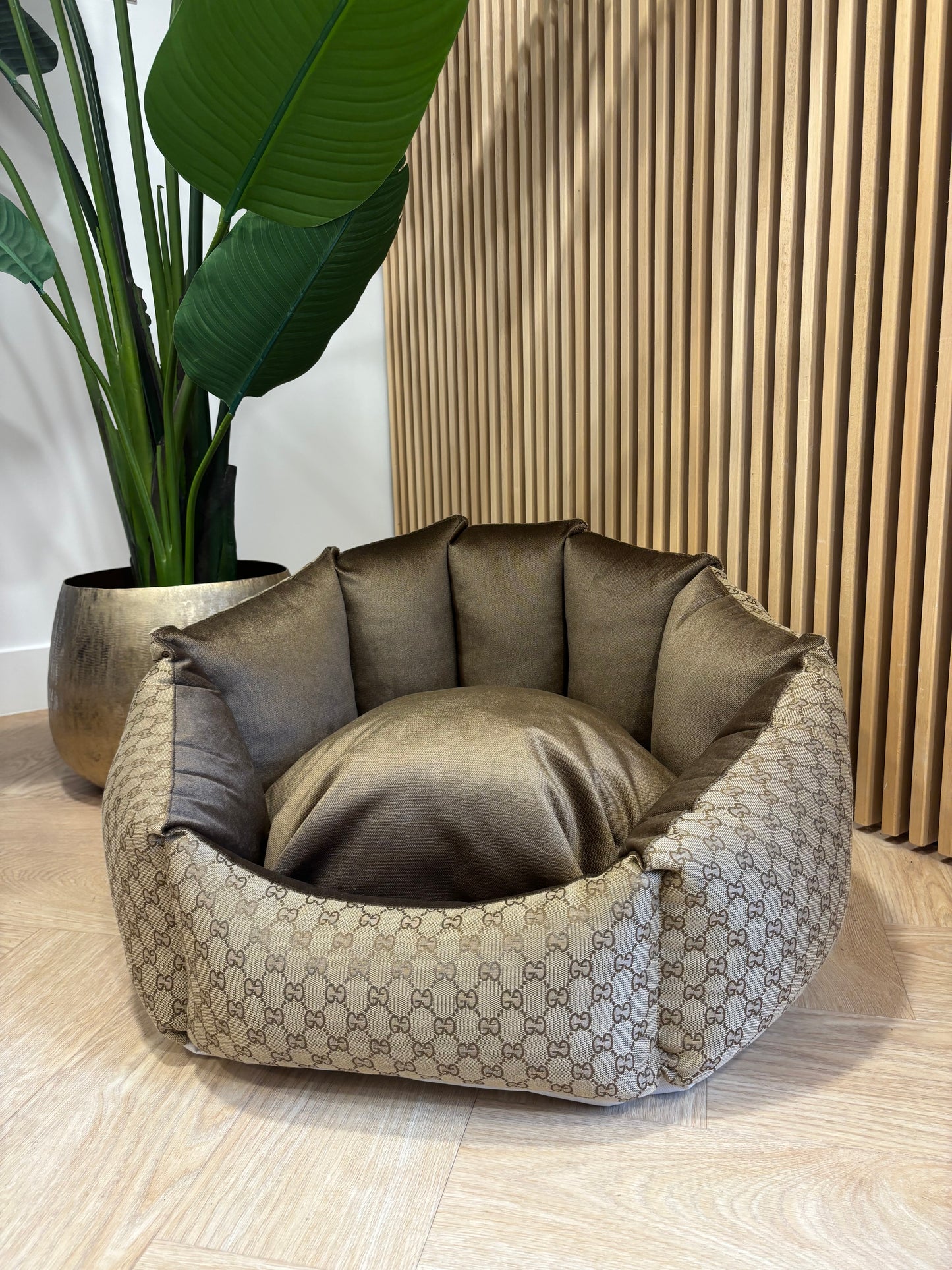 Shell Mand - Beige GG