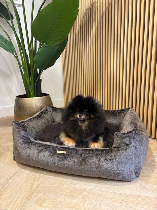 Mand Nowi - Donkerbruin