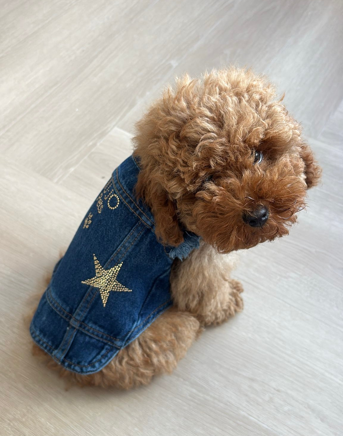 Liu Jo Pets - Denim vest rhinestone