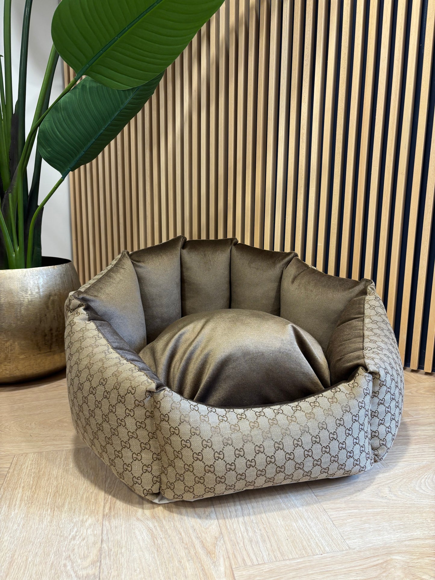 Shell Mand - Beige GG