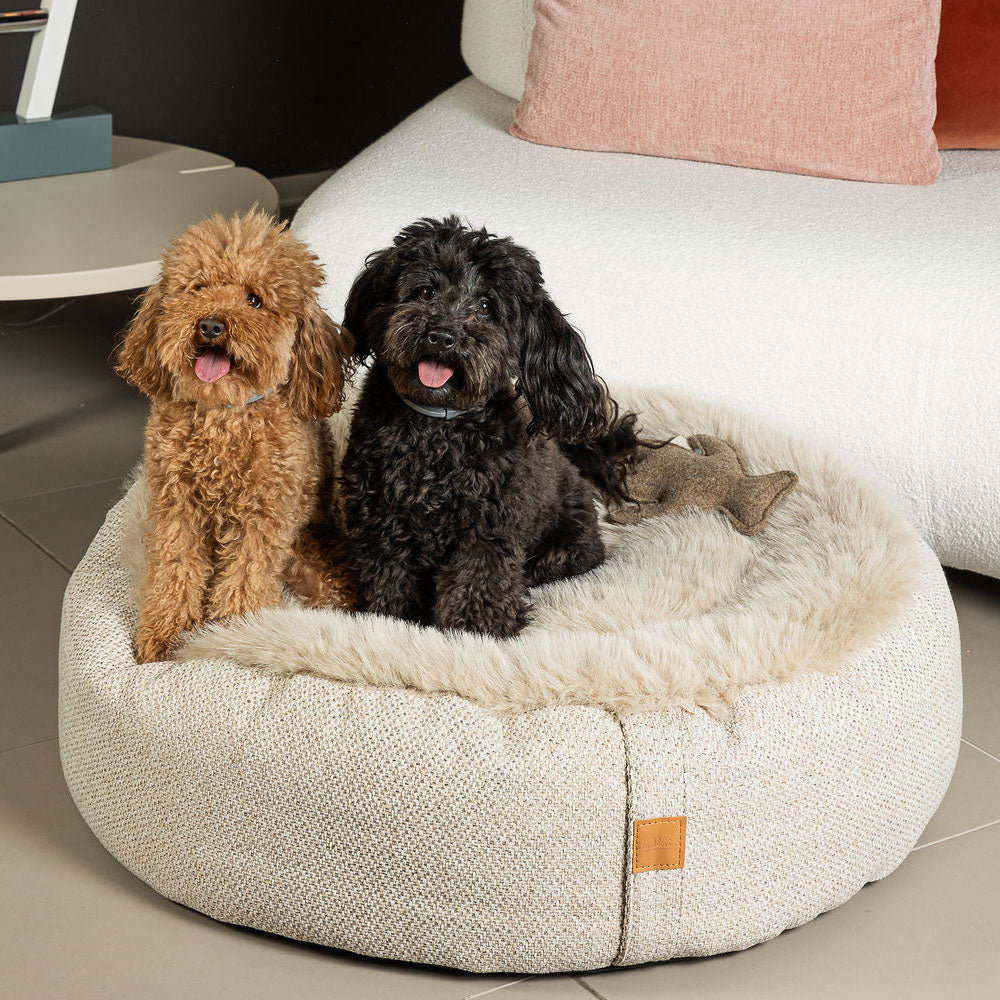 Bau Baru - Holga Alghero panna