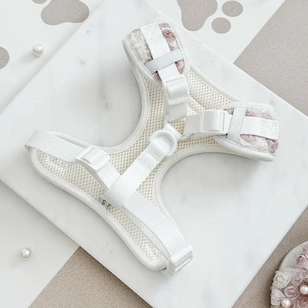 Cocopup London - Pearly Pup tuig