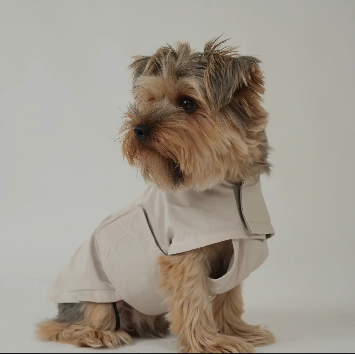 Staey - Regenjas Beige