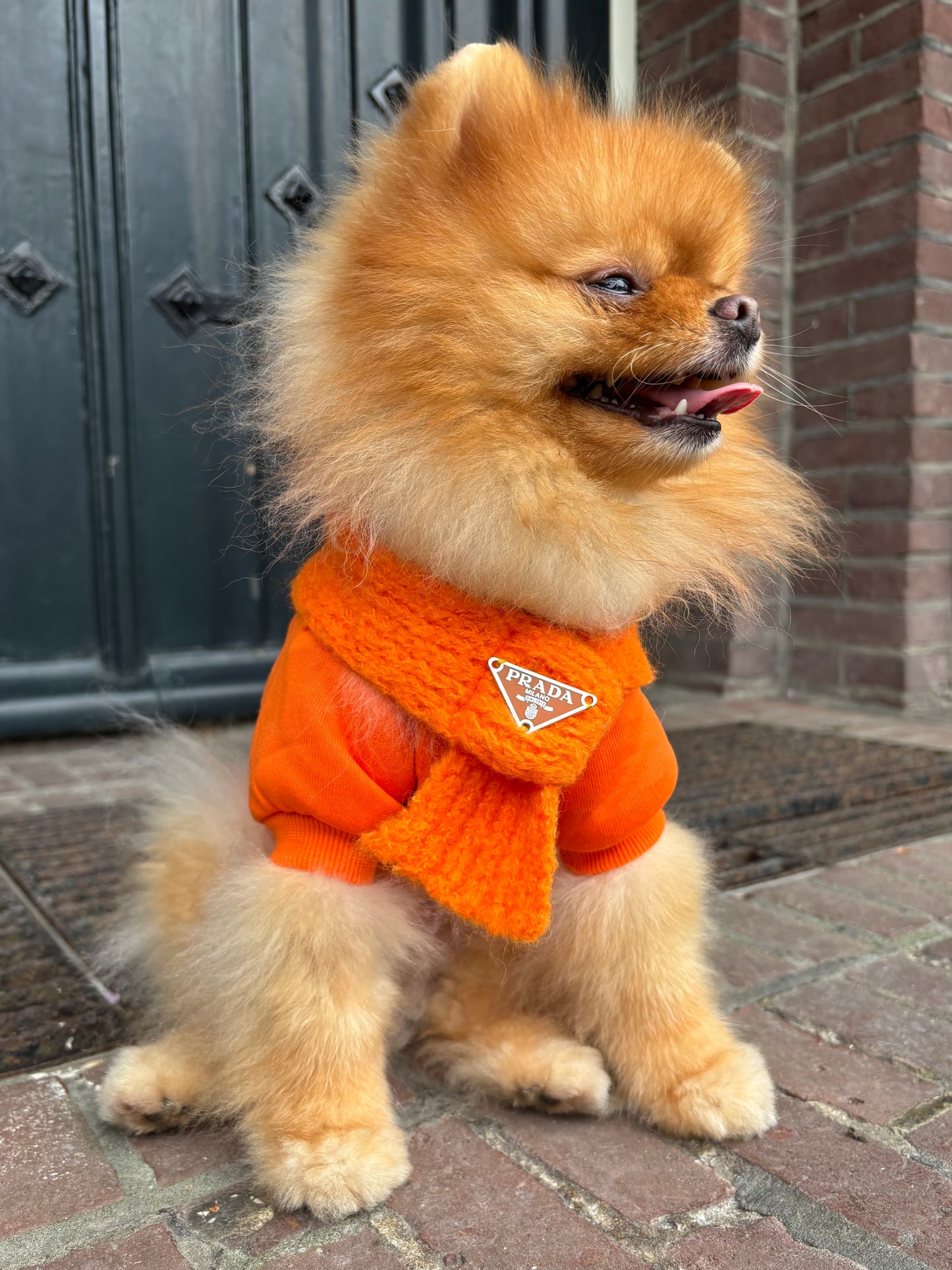 Kingsday - Oranje sjaal met logo