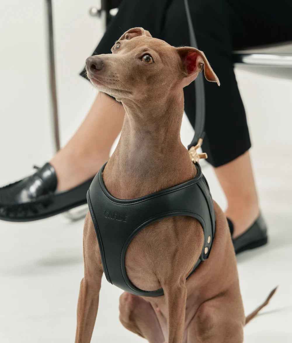 Cafide - Tuig Zwart Vegan leer