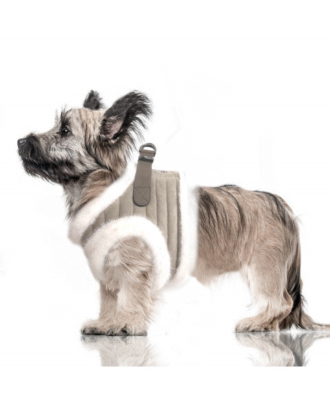 Milk & Pepper - Tuig Kaspar