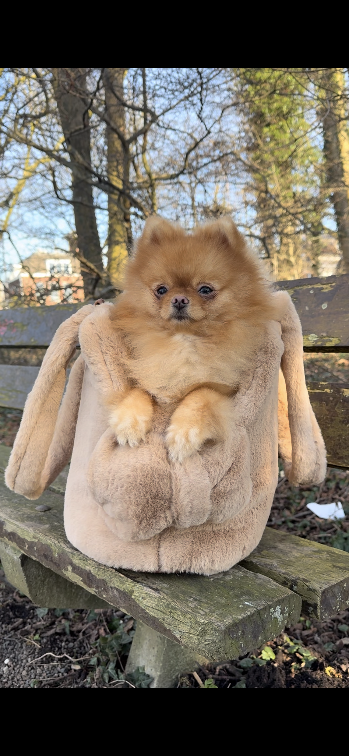 Eh Gia Fair Bag fluffy caramel