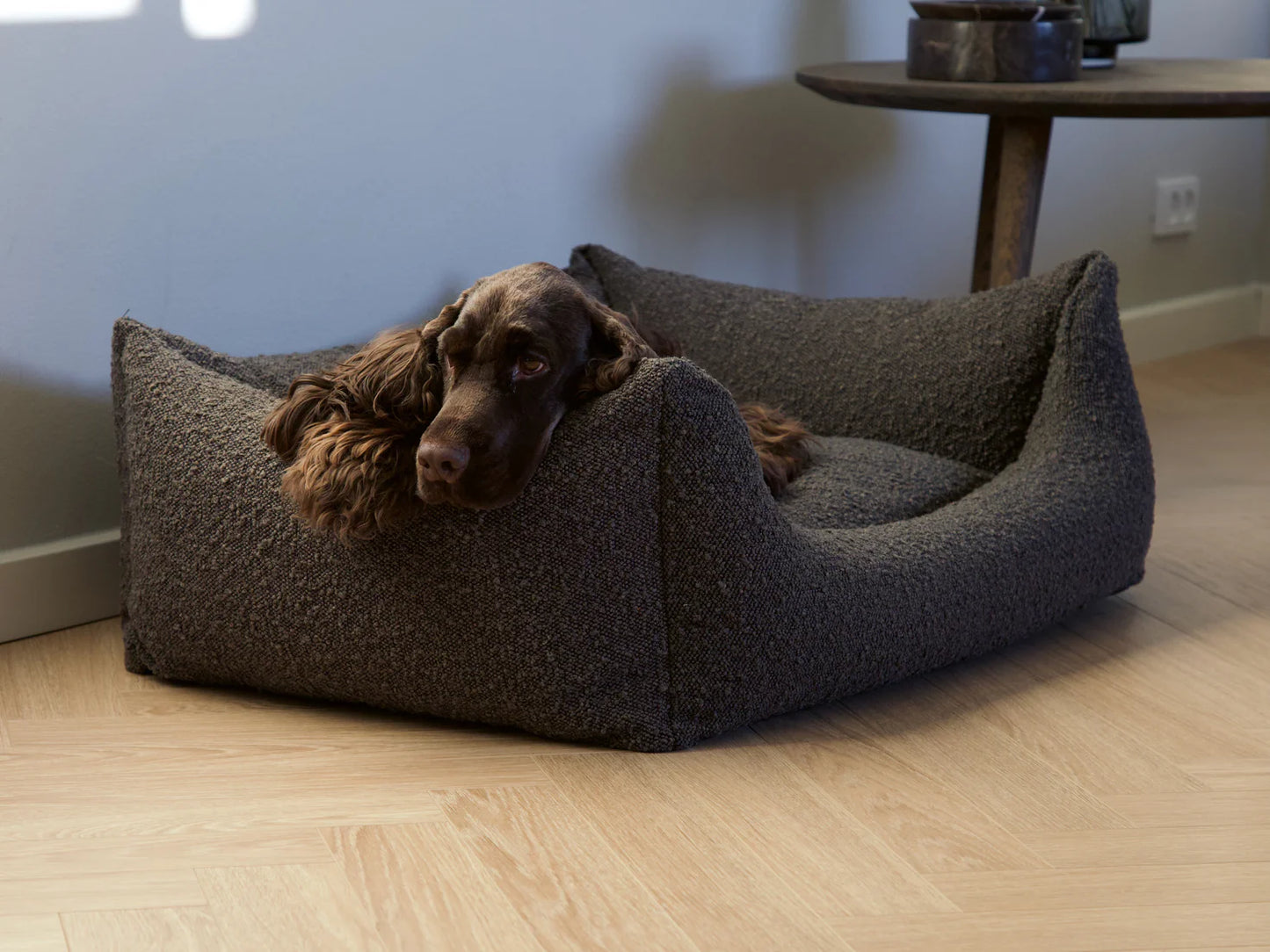 Nordog - Billy Bouclé Mokka