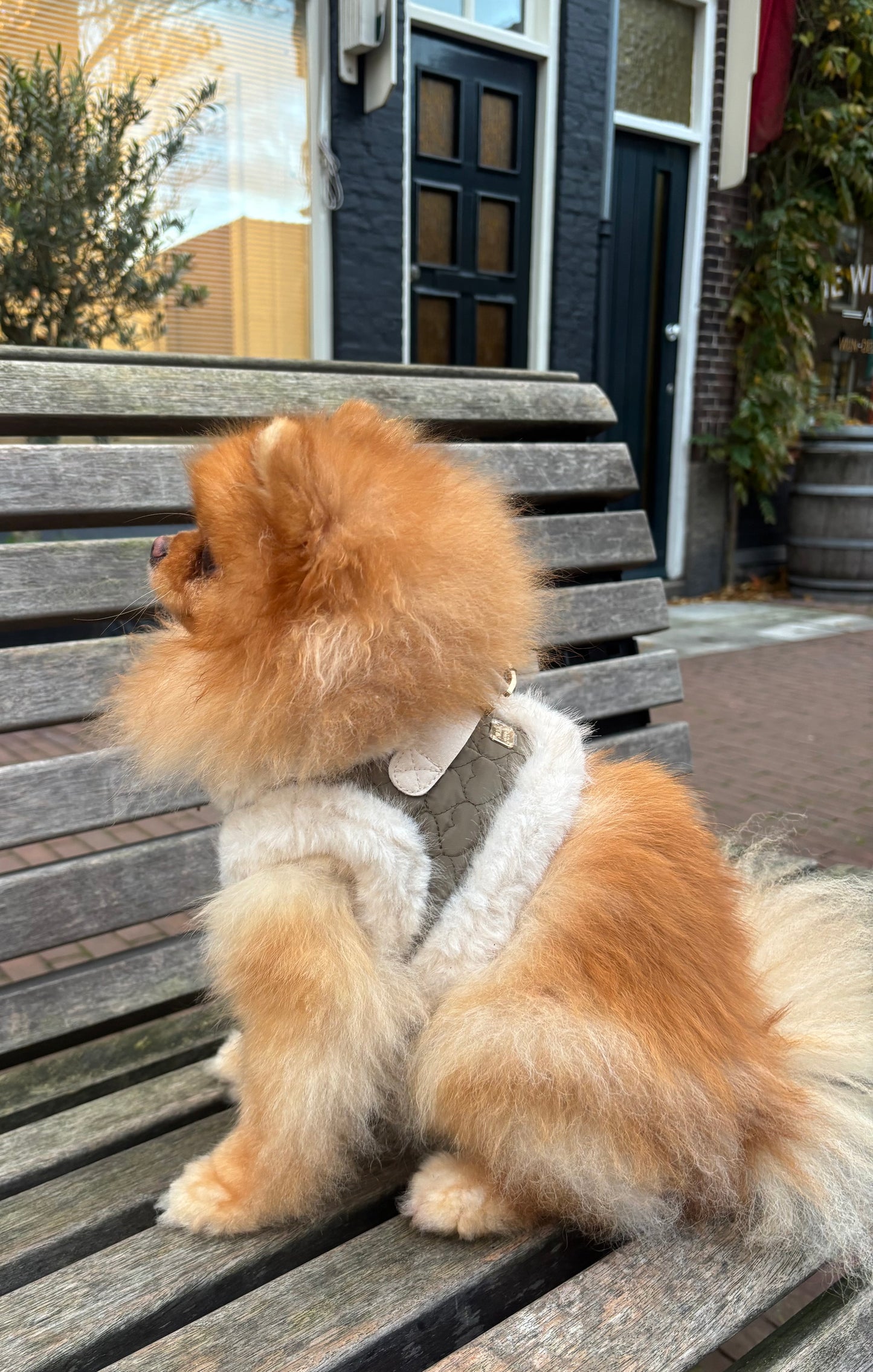 Milk & Pepper - Tuig Clarice