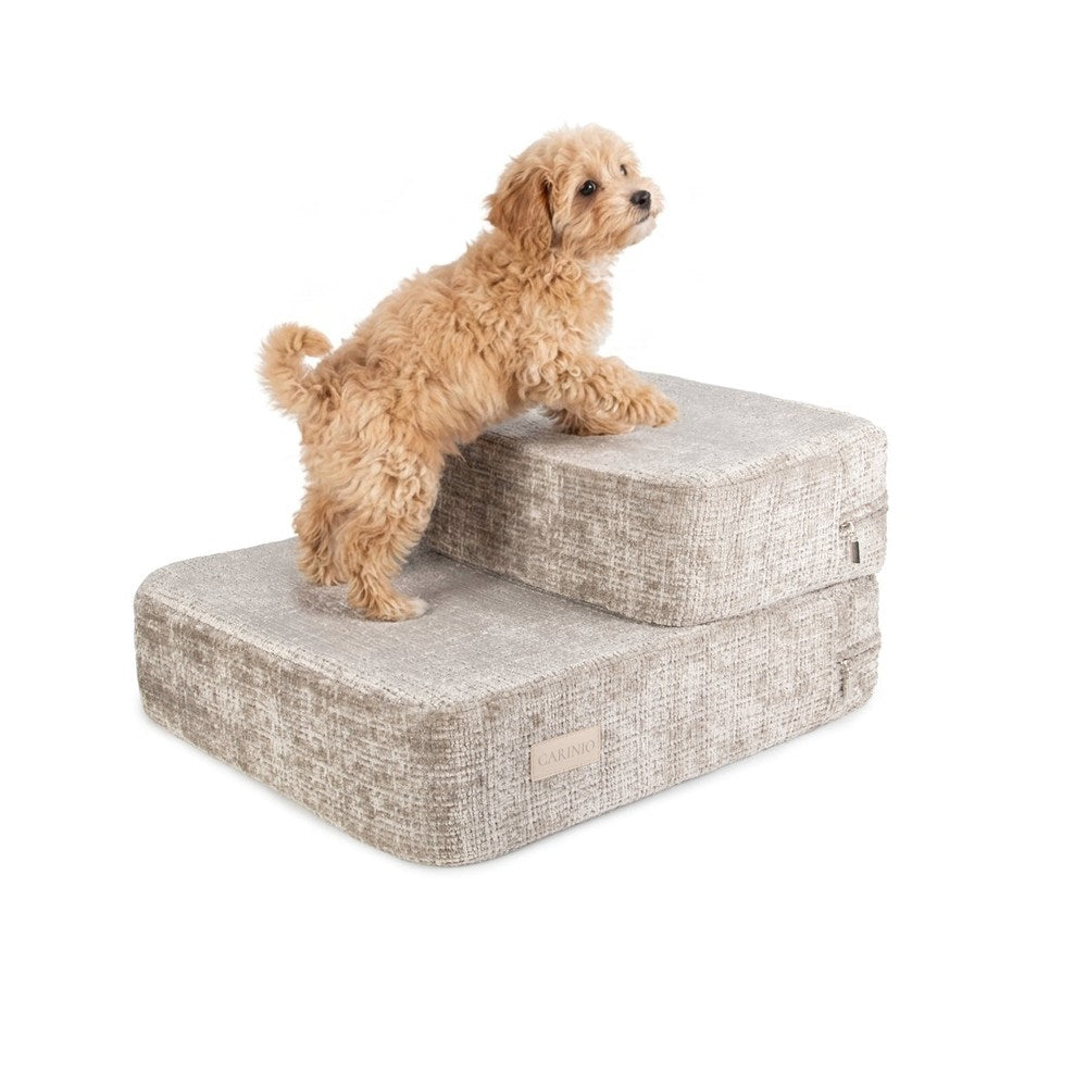 Carinio - Trap Stone
