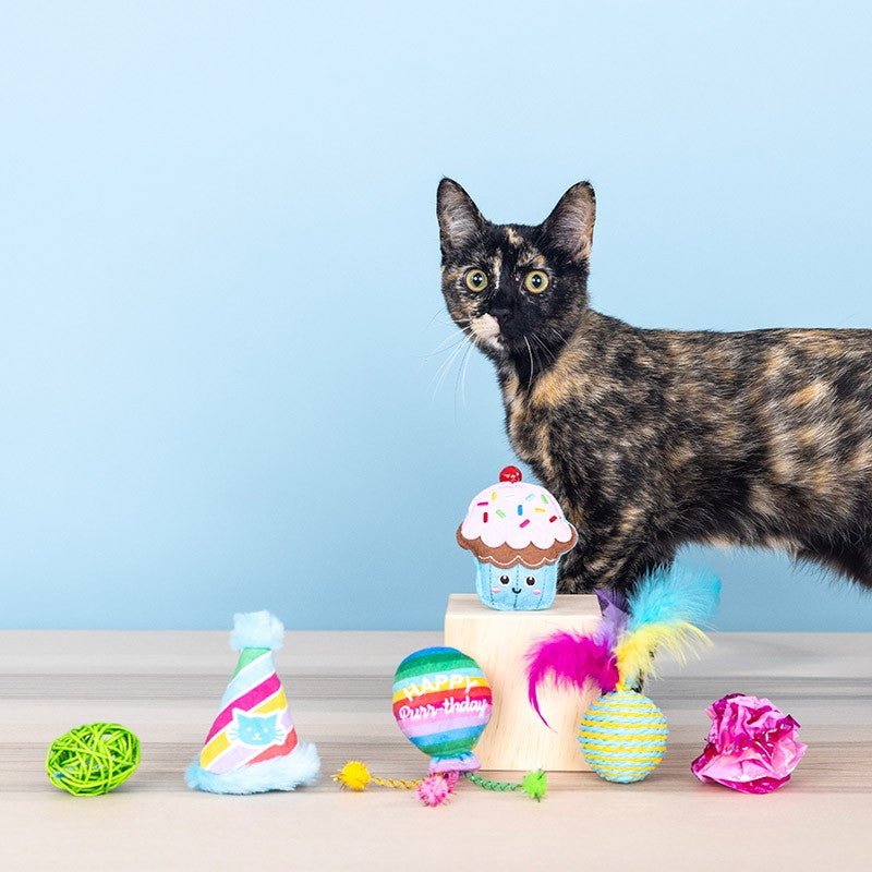 Kattenspeelgoed - Happy Purrthday set