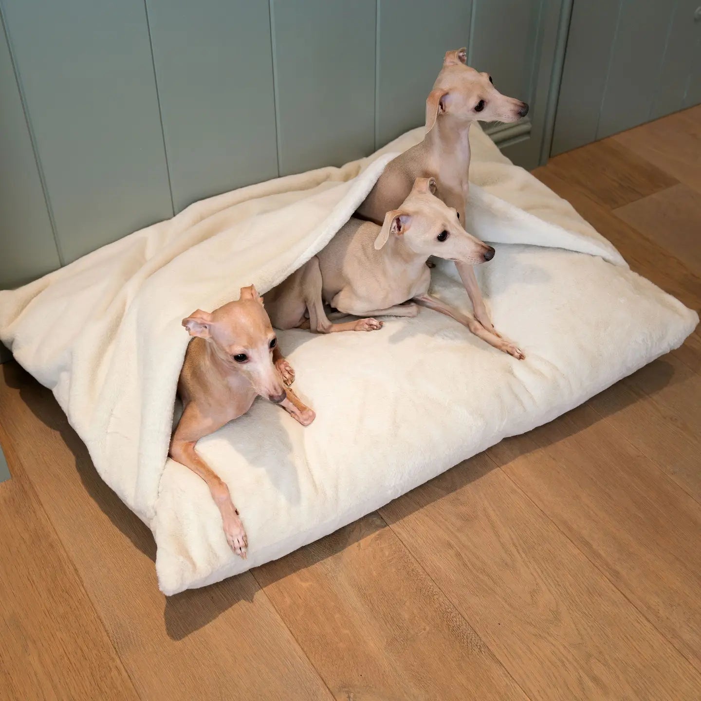 Lords & Labradors - Sleepy Burrow imitatiebont