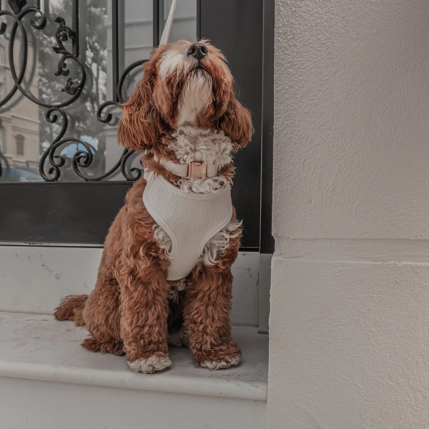 By Teddy - Bouclé tuig Marshmallow