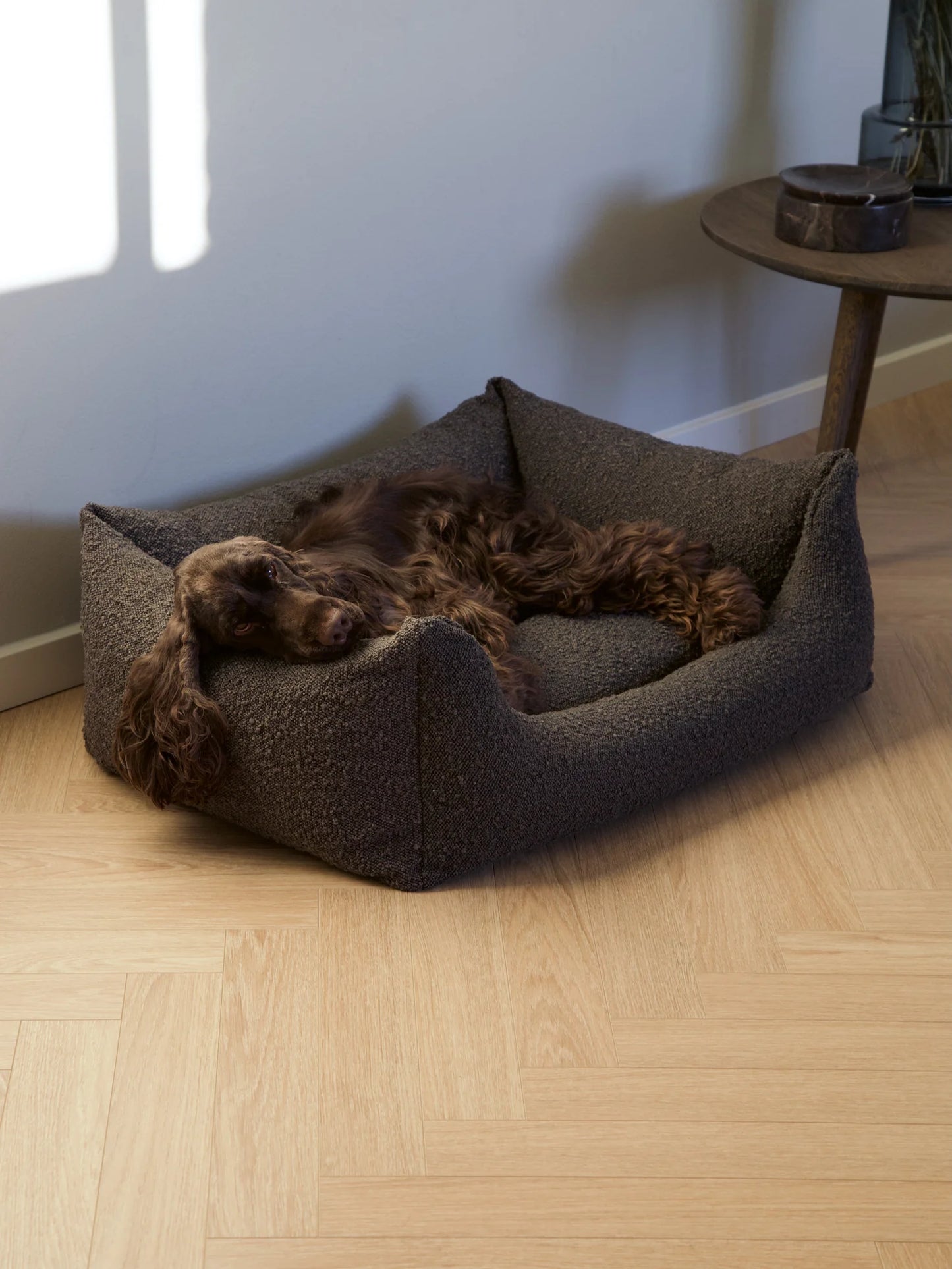 Nordog - Billy Bouclé Mokka