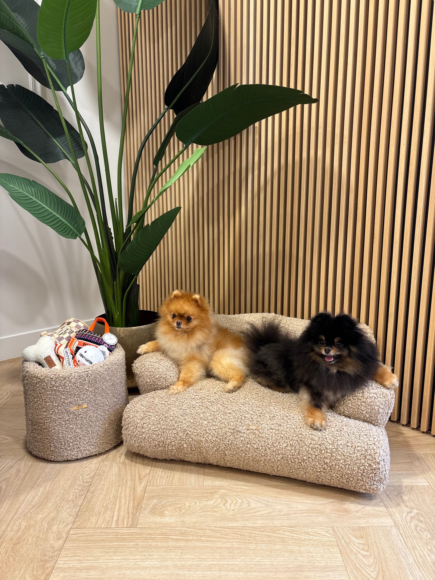 Lounge bed Nala - Curly teddy beige