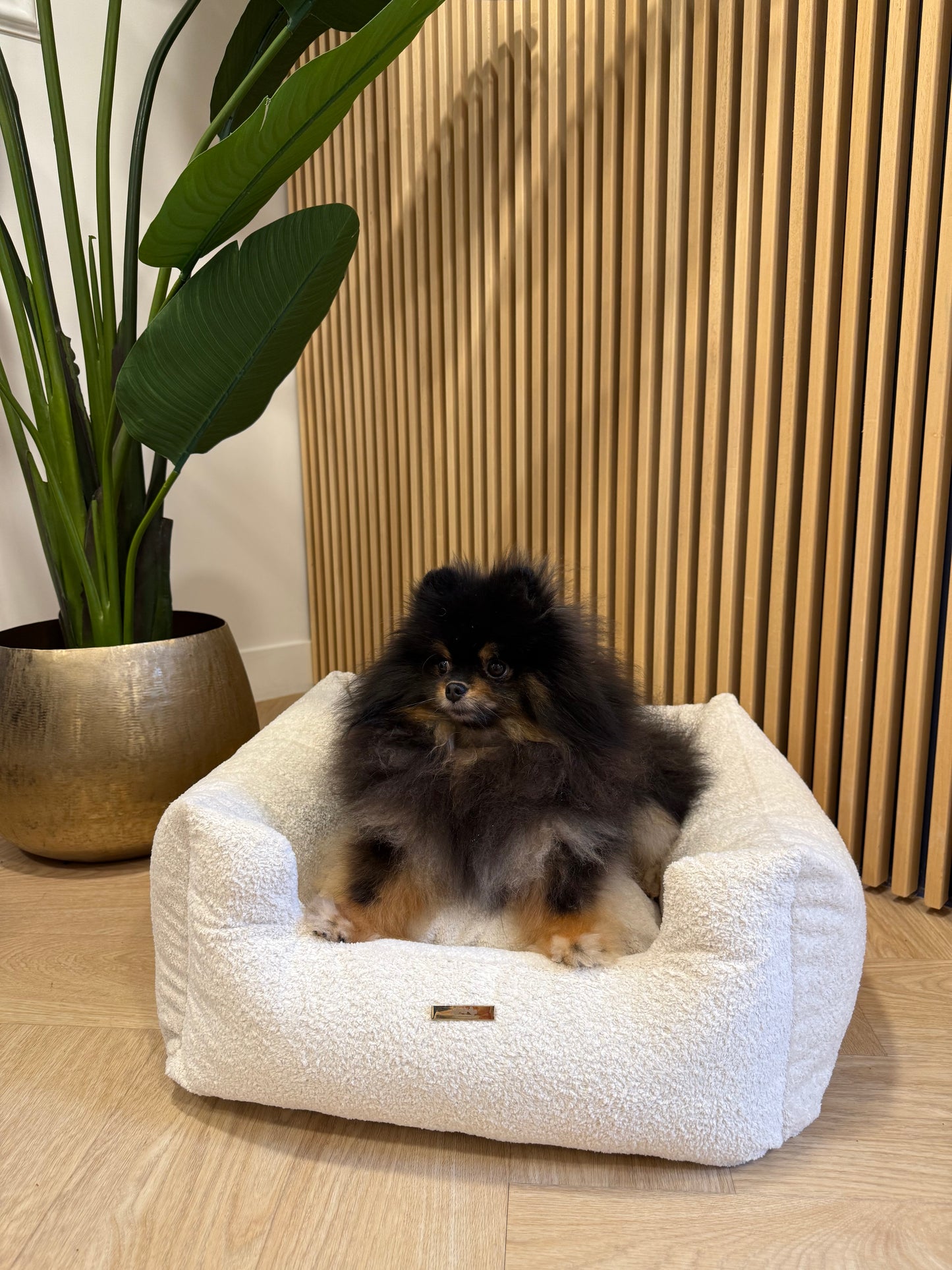 Mand Noa - Teddy Milky