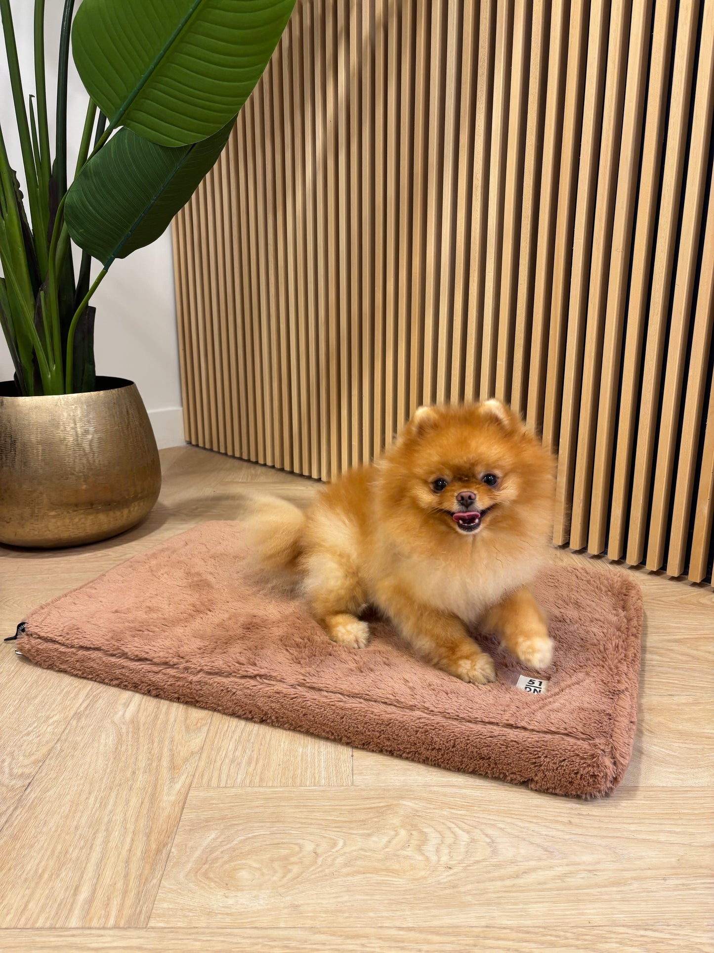 51DN - Zacht bench mat terra