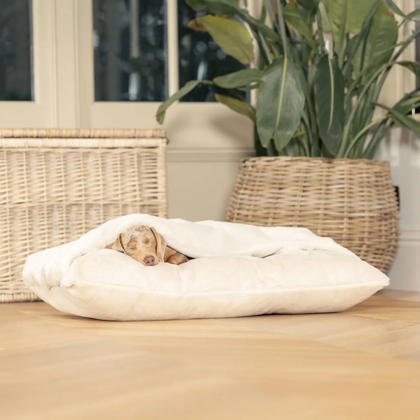 Lords & Labradors - Sleepy Burrow imitatiebont